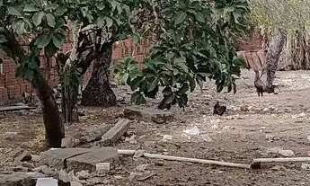 Imagem 7: Casa com terreno na zona norte