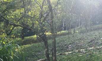 Imagem 6: Terreno à venda, 4600 m² por R$ 2.200.000,00 - Ratones - Florianópolis/SC