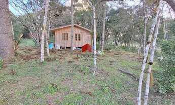 Imagem 3: Terreno com 1.000m² , à venda, no bairro Borda do Campo em São José dos Pinhais