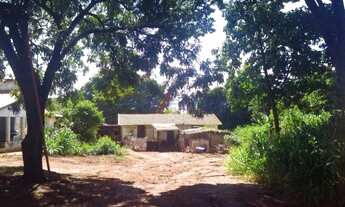 Imagem 2: Sítio - Betel - Paulínia