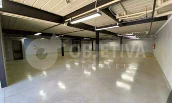 Imagem 7: Prédio para aluguel, 12 vagas, VIGILATO PEREIRA - UBERLANDIA/MG