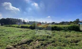 Imagem 7: Terreno para alugar no Santa Cândida