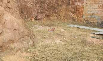 Imagem 3: Lote para venda no bairro Vau Açu em Viçosa MG