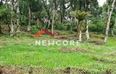 Imagem 3: Lote em Rua dos Pessegueiros - Campo do Meio - São Francisco de Paula/RS