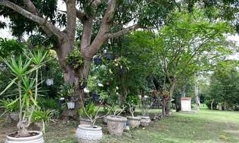 Imagem 5: Excelente Chácara Distrito da Guia