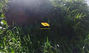 Imagem 3: Terreno à venda - 85 m², Frente, Vila Cruzeiro, SP