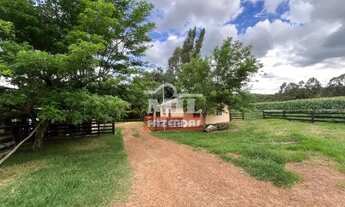 Imagem 2: Chácara 5,5 alqueires (26,62 hectares ) Bela vista - GO