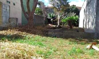 Imagem 5: GRANDE POTENCIAL PARA CONDOMÍNIO RESIDENCIAL