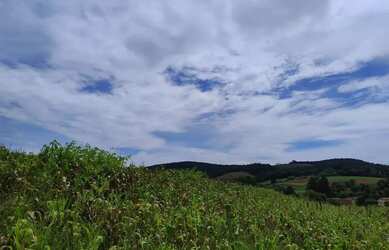 Imagem 2: Lotes Rurais em Ibiúna para Moradia ou Lazer