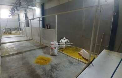 Imagem 7: Galpão para alugar, 722 m² por R$ 15.000,00/mês - Jardim Piratininga - Ribeirão Preto/SP