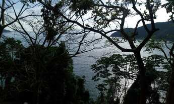 Imagem 7: Terreno na ilha grande Provetá