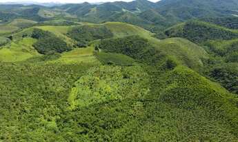 Imagem 7: Lote de 1.000m2 na serra da mantiqueira
