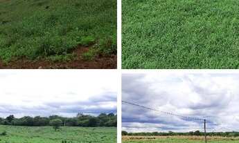 Imagem 6: FAZENDA À VENDA EM BOM JESUS DA LAPA