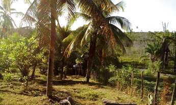 Imagem 5: TERRENO RESIDENCIAL em SUBAÚMA - BA, Entre Rios