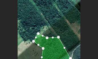 Imagem 3: Área com pastagem e agricultura(cacau e cajá