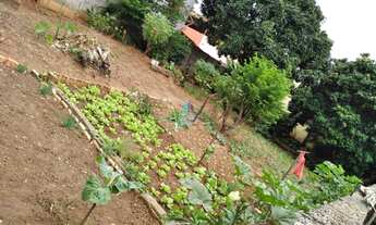 Imagem 2: Belo Horizonte - Loteamento/Condomínio - Palmeiras