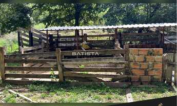 Imagem 5: Fazenda de 100 alqueires, 56 km Palmas