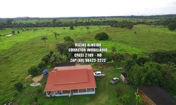 Imagem 4: 123 Alqueires pecuária e Lavoura