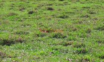 Imagem 5: Fazenda Pecuária no Sul da Bahia - OPORTUNIDADE