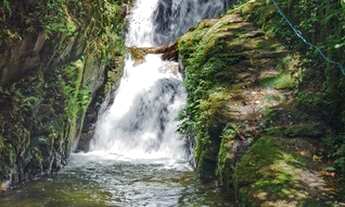 Imagem 3: Fazenda/Sítio/Chácara para venda tem 80000 metros quadrados com 3 quartos