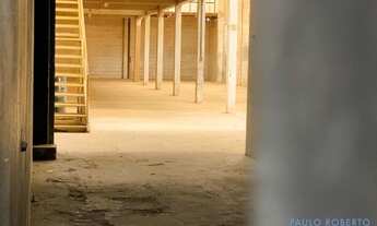 Imagem 6: GALPÃO - OSVALDO CRUZ - SP