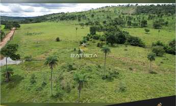 Imagem: Fazenda 19.5 Alqueires, 48 km Palmas