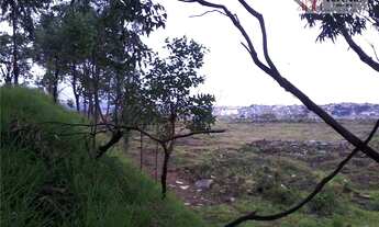 Imagem 4: Área para alugar, 56252 m² por R$ 118.000,00/mês - Parque Industrial Cumbica - Guarulhos/S