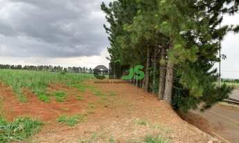 Imagem 3: Sitio, na beira da rodovia, ótimo para INDÚSTRIA, COMERCIO ou LOTEAMENTO, 10 Alqueires, à