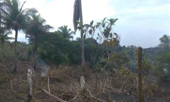 Imagem 5: Oportunidade ! Lindo terreno em Itacaré - Bahia