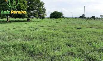 Imagem 7: FAZENDA À VENDA EM DUERE - TO - 435.6 HECTARES (DUPLA APTIDÃO