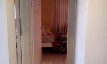 Imagem 5: Apto Res. Paineiras 2 qtos