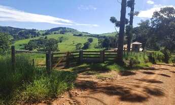 Imagem 3: Sítio a Venda em Bueno brandão