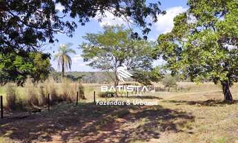 Imagem 4: Fazenda 70 Alqueires, 150 Km de Palmas