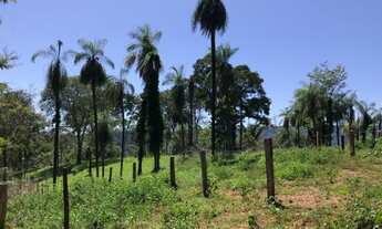 Imagem 7: Fazenda 143 alqueires Formoso Go