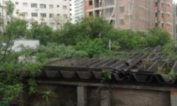 Imagem 2: GALPÃO - VILA MASCOTE - SP