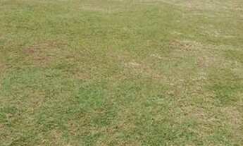 Imagem 2: Casa residencial à venda no Bairro Bachadão em Santa Maria da Serra - SP