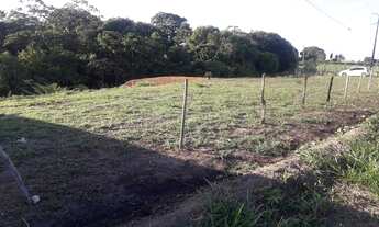 Imagem: Vendo Terrro em Aldeia 50X25