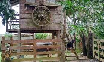 Imagem 5: Chácara com 2 dormitórios à venda, 1152 m² por R$ 480.000,00 - Centro - Juquiá/SP