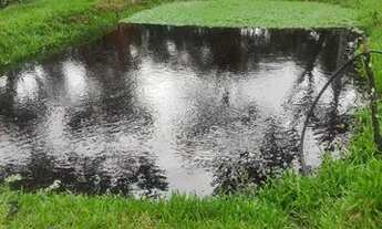 Imagem 7: Vendo chácara em guaratuba