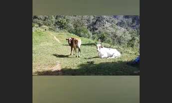 Imagem 4: Vendo Sítio Vista Cinematográfica