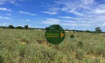 Imagem: Fazenda com 2 dormitórios à venda, 8712000