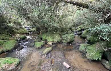 Imagem 6: Vendo sítio entre Anitapolis e Alfredo Wagner
