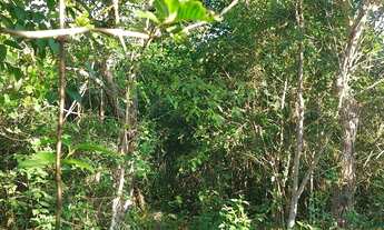 Imagem 4: Chacara 11.450 mt. Prox Novo Hospital Geral