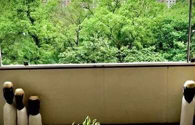 Imagem 6: Venda Apartamento 4 Dormitórios - 260 m² Jardim Europa