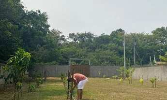 Imagem 2: Sítio no Ramal do açutuba