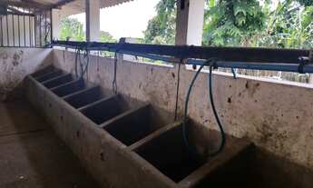 Imagem 3: Fazenda de 45 hectares casa 3 quartos Cidade de esmeraldas