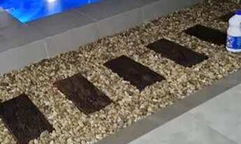 Imagem 4: Casa em condomínio fechado em Canoas