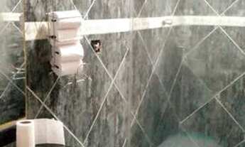 Imagem 5: Vendo casa na Colônia Agrícola Sucupira