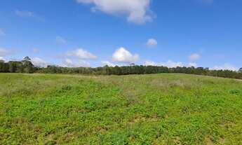 Imagem 6: Vende-se terreno em Cotia-sp