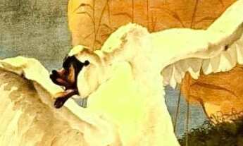 Imagem: Opção de Quarto C/Metrô a 250m Tijuca